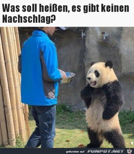 Was soll das heißen Was soll das heißen
