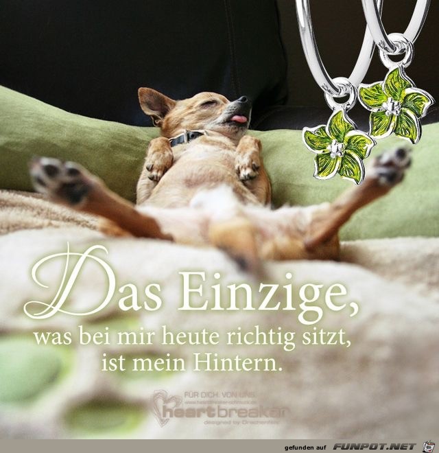 das einzige was bei mir das einzige was bei mir