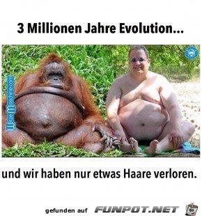 drei millionen jahre evolution