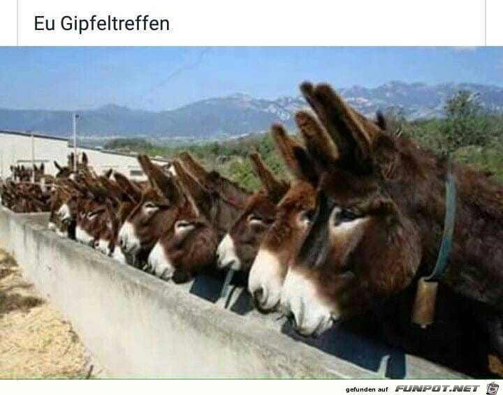 eu gipfeltreffen