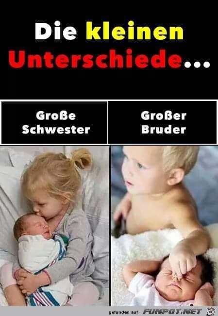 die kleinen Unterschiede die kleinen Unterschiede