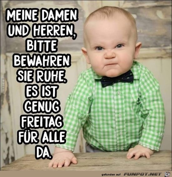 meine damen und herren meine damen und herren