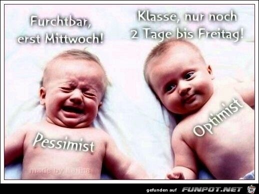 pessimist optimist pessimist optimist