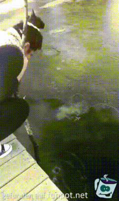Eisfischen Eisfischen