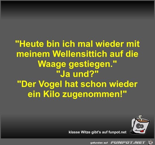 Heute bin ich mal wieder mit meinem Wellensittich auf die Heute bin ich mal wieder mit meinem Wellensittich auf die
