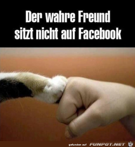Der wahre Freund Der wahre Freund