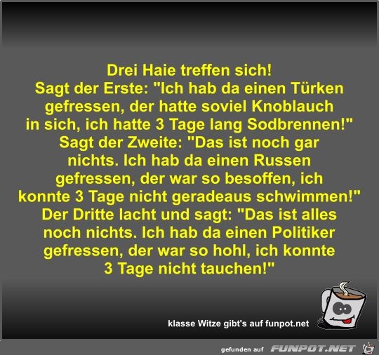 Drei Haie treffen sich! Drei Haie treffen sich!