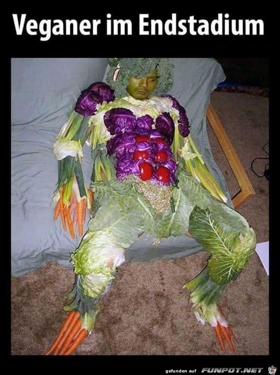 veganer veganer