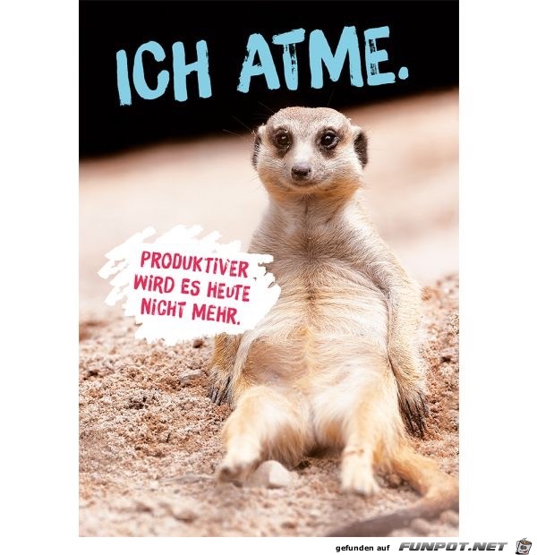 ich atme ich atme