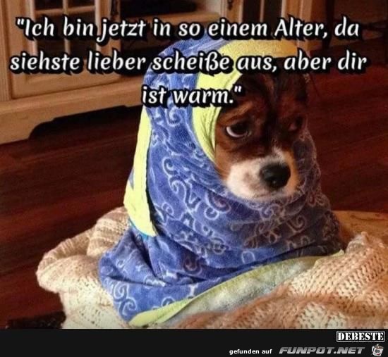 ich bin jetzt in so einem alter ich bin jetzt in so einem alter