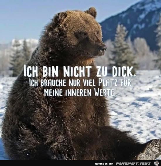 ich bin nicht zu dick