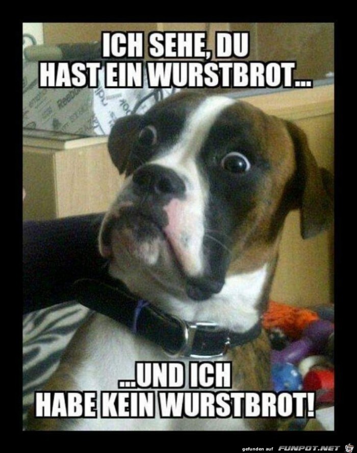 ich sehe ich sehe