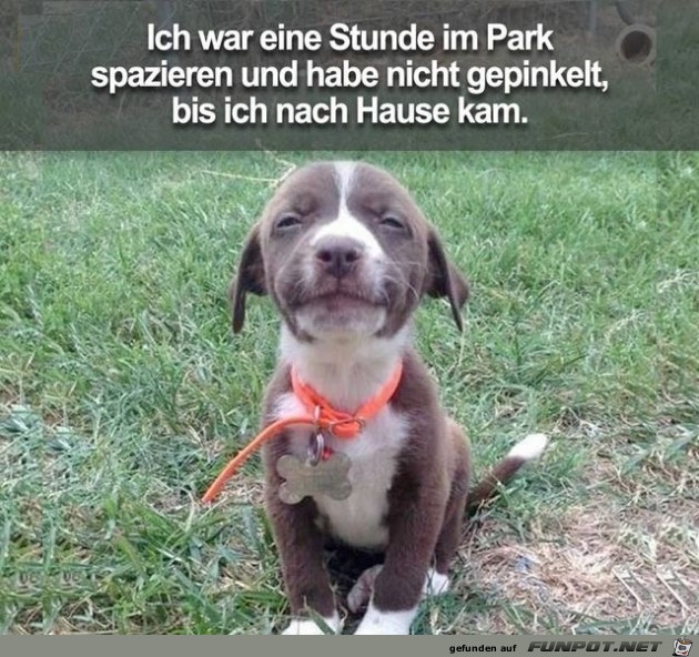 ich war eine stunde ich war eine stunde