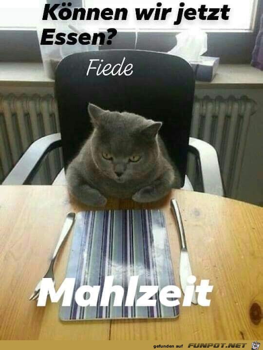 koennen wir jetzt essen koennen wir jetzt essen