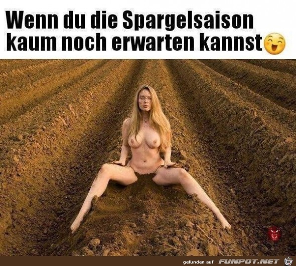 Spargelsaison