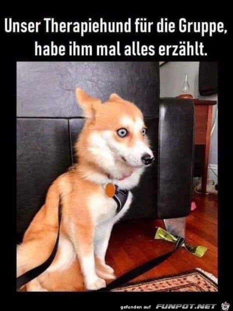 Jetzt ist er fertig Jetzt ist er fertig
