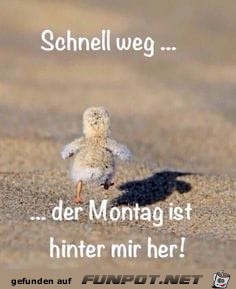 Schnell weg Schnell weg