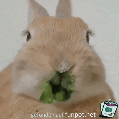 Mümmelmann Mümmelmann