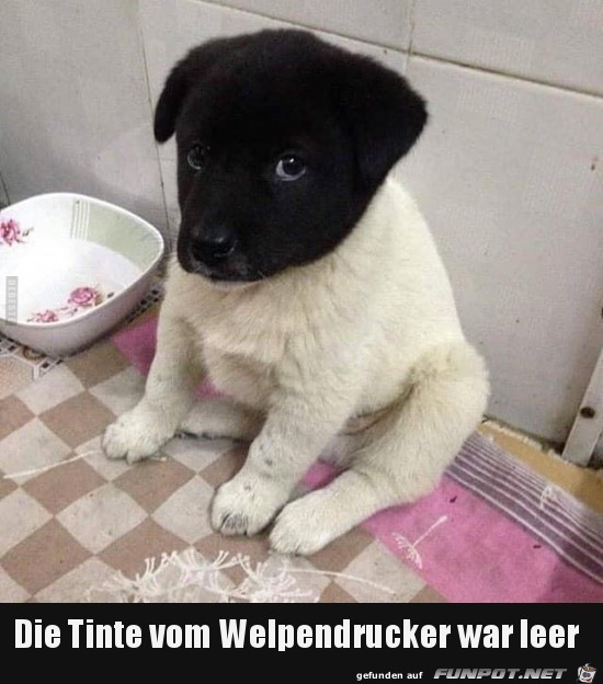 Tinte war leer Tinte war leer