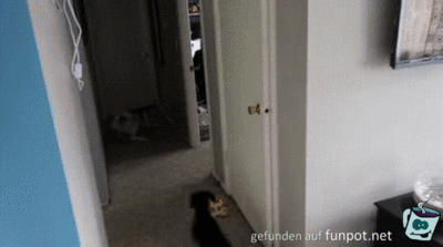 Und weg ist er Und weg ist er