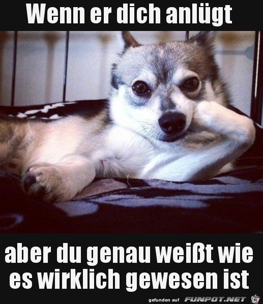 Ich weiß Bescheid Ich weiß Bescheid