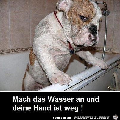 Böser Blick Böser Blick