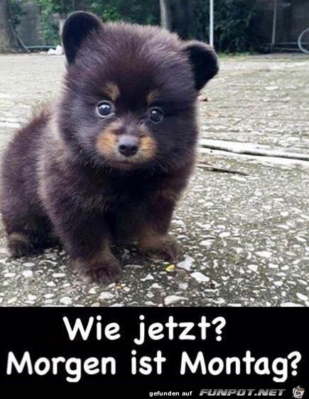 Wie jetzt Wie jetzt