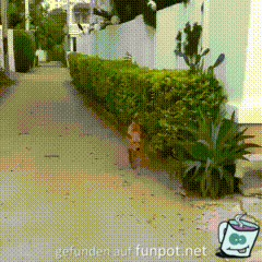 Keiner hat es gemerkt Keiner hat es gemerkt
