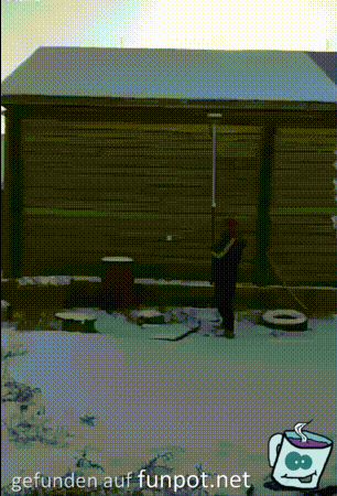 Dachlawine Dachlawine