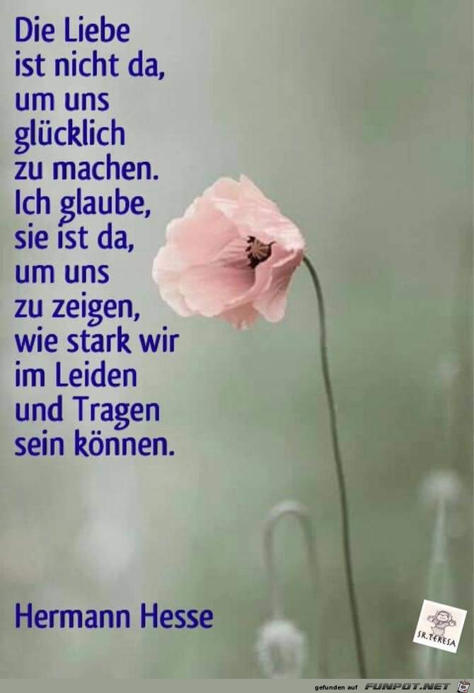 die Liebe ist nicht da