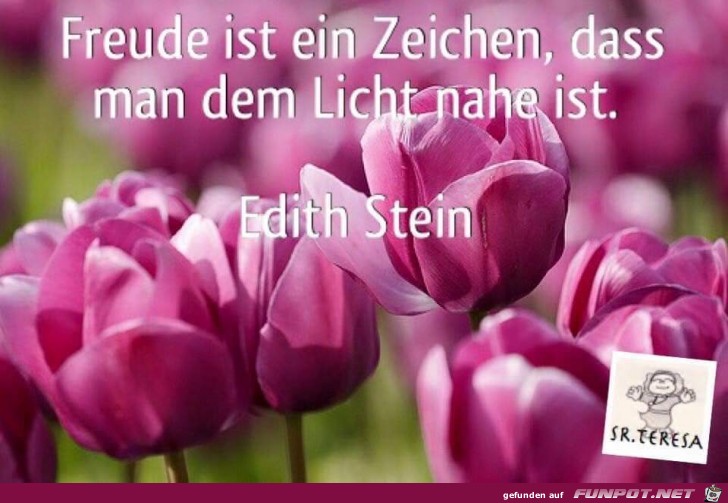 Freude ist ein Zeichen Freude ist ein Zeichen