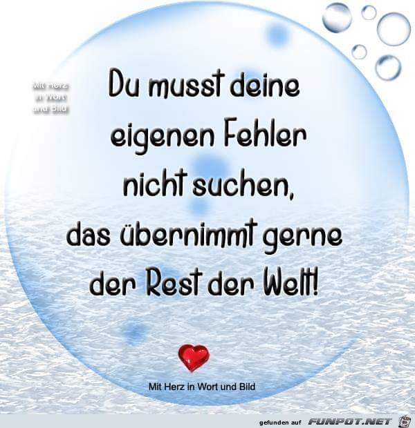du musst deine eigenen Fehler du musst deine eigenen Fehler