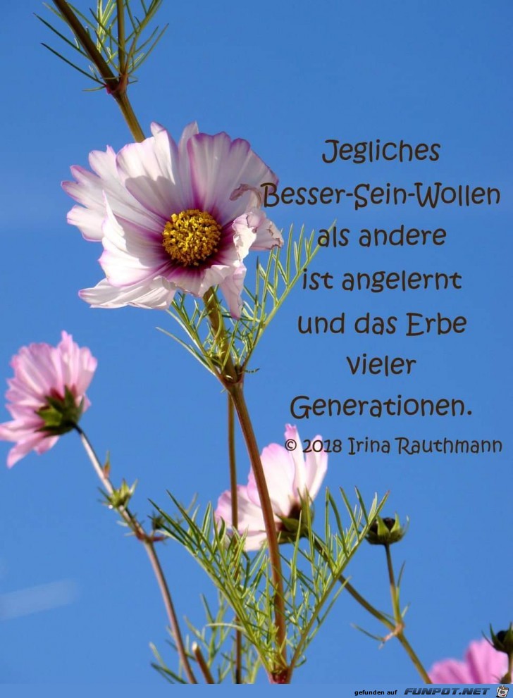 jegliches Besser sein wollen jegliches Besser sein wollen