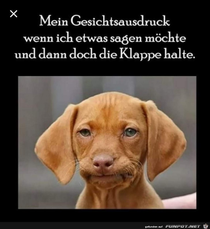 mein Gesichtsausdruck