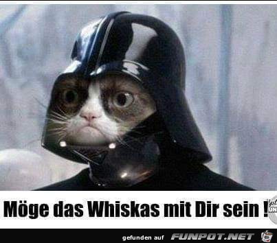 Möge das Whiskas Möge das Whiskas
