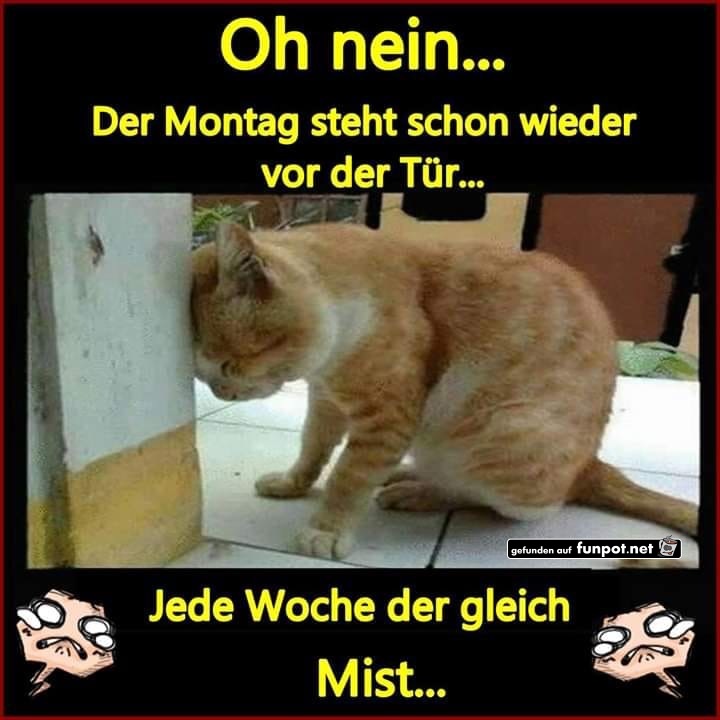 oh nein der montag oh nein der montag