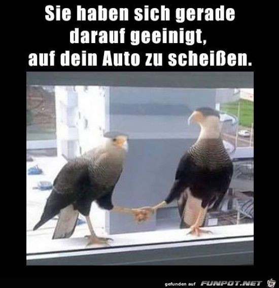 sie haben sich gerade