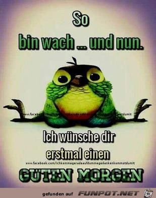so bin wach so bin wach