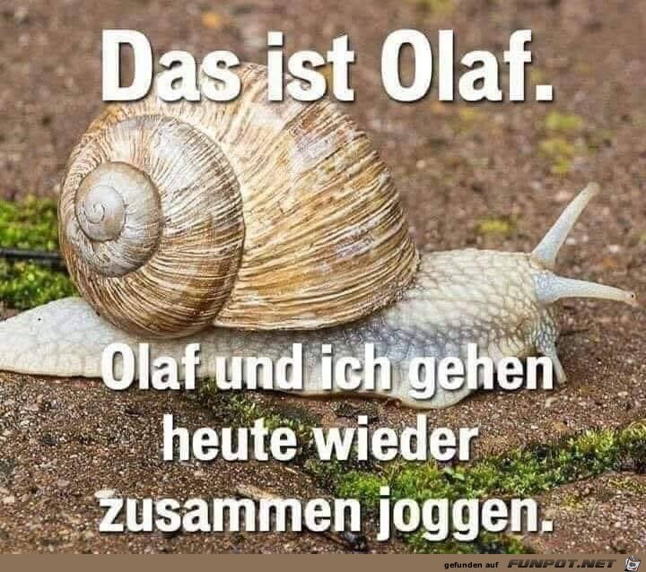 Ich geh mit Olaf joggen Ich geh mit Olaf joggen
