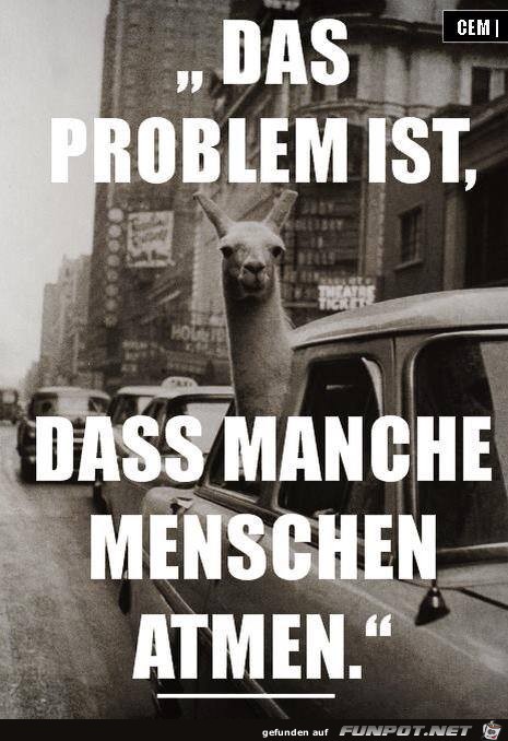 Problem Problem
