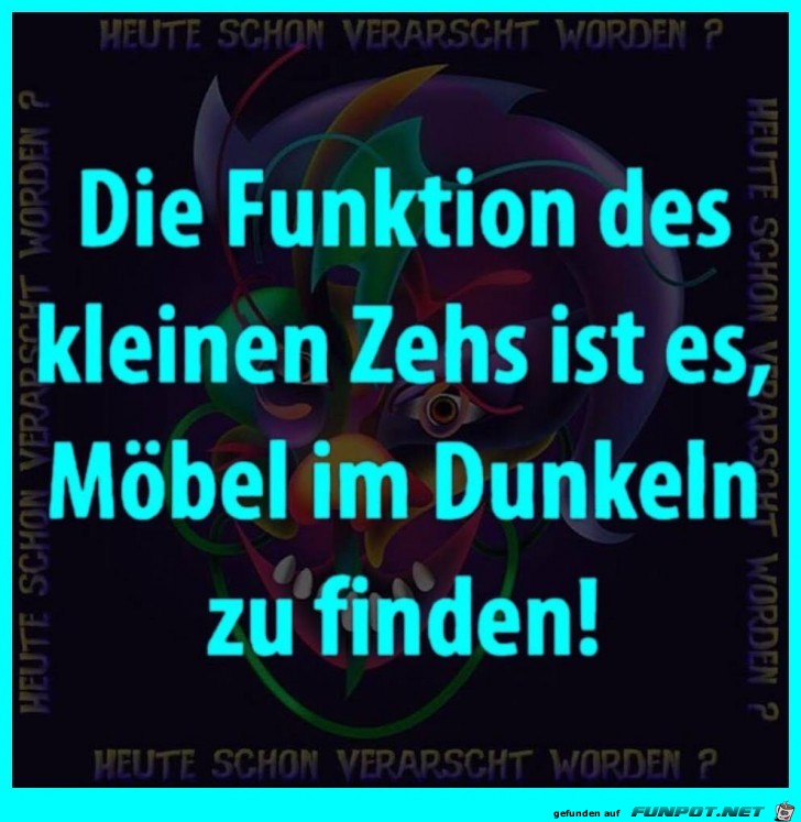 Kleiner Zeh Kleiner Zeh