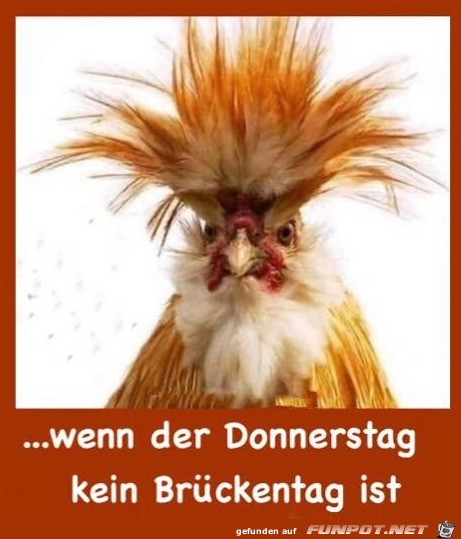 Der Donnerstag