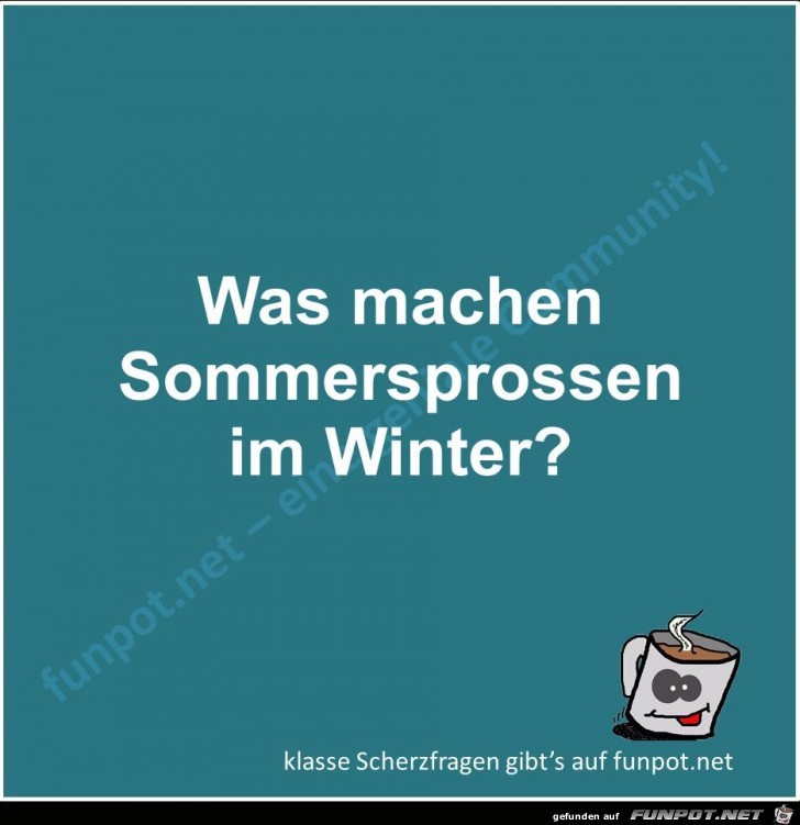 Scherzfrage Scherzfrage
