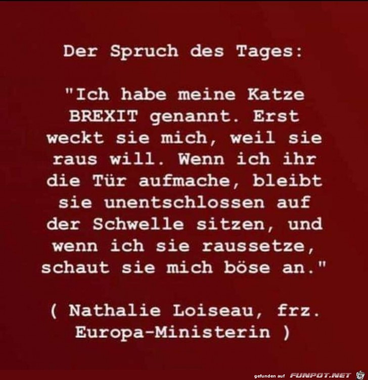 ich habe meine Katze Brexit