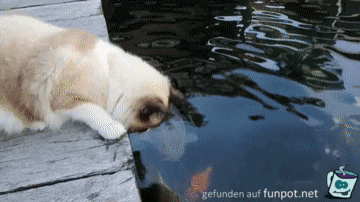 Ist ja knuffig Ist ja knuffig