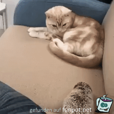 Was ist denn das Was ist denn das