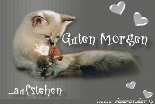 Guten Morgen Guten Morgen