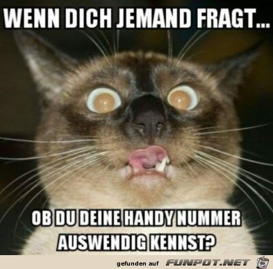 die eigene Handynummer die eigene Handynummer
