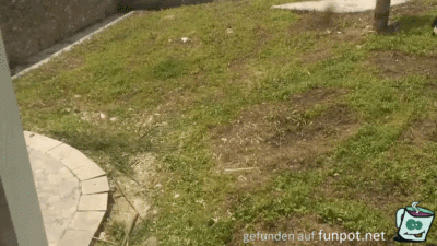 Rolle vorwärts Rolle vorwärts