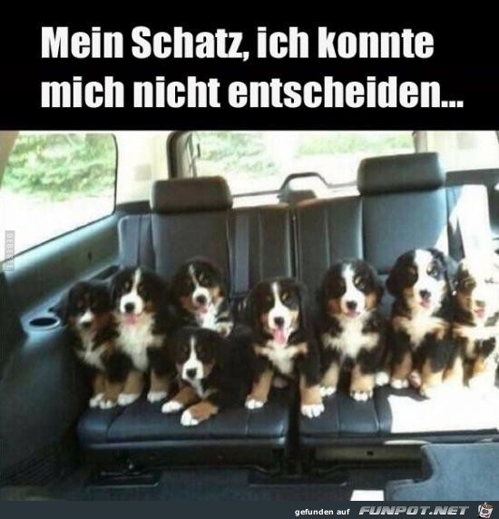 Konnte mich nicht entscheiden Konnte mich nicht entscheiden